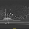 Full Body X-Ray Phantom 3